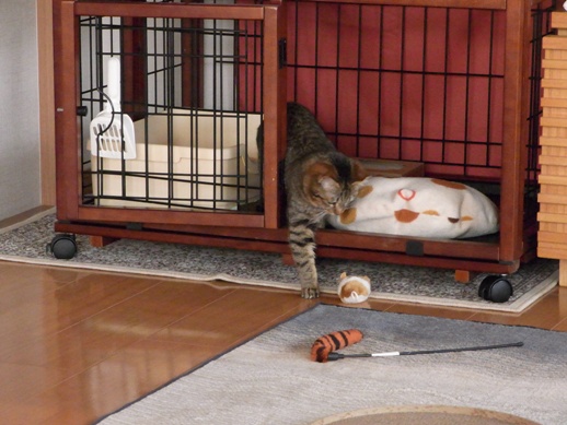 f:id:akiyochan15:20120216170435j:image