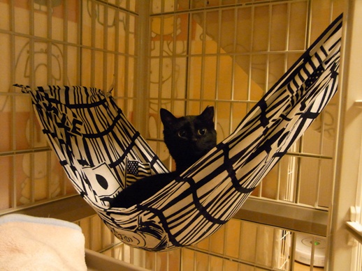 f:id:akiyochan15:20120217074938j:image