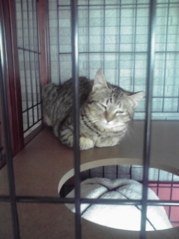 f:id:akiyochan15:20120217151031j:image f:id:akiyochan15:20120217151031j:image