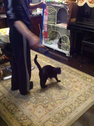 f:id:akiyochan15:20120217223830j:image f:id:akiyochan15:20120217223830j:image