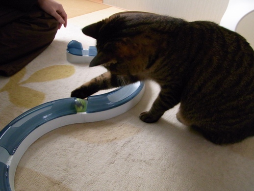 f:id:akiyochan15:20120219123836j:image f:id:akiyochan15:20120219123836j:image