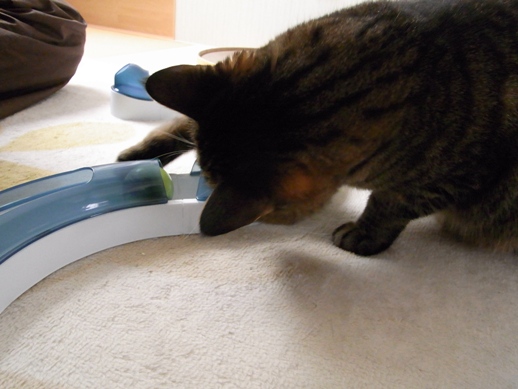 f:id:akiyochan15:20120219123857j:image f:id:akiyochan15:20120219123857j:image