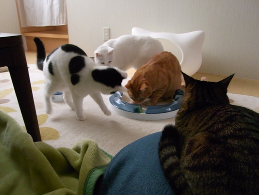 f:id:akiyochan15:20120219130323j:image f:id:akiyochan15:20120219130323j:image