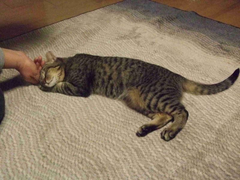 f:id:akiyochan15:20120229022121j:image:w518 f:id:akiyochan15:20120229022121j:image:w518