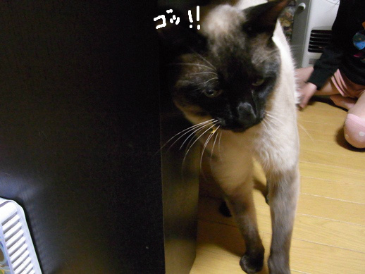 f:id:akiyochan15:20120331001252j:image f:id:akiyochan15:20120331001252j:image