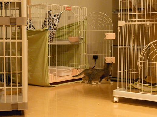 f:id:akiyochan15:20120331212428j:image