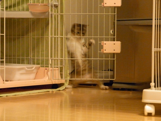 f:id:akiyochan15:20120331220038j:image