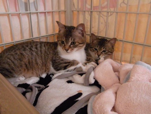 f:id:akiyochan15:20120401113120j:image f:id:akiyochan15:20120401113120j:image