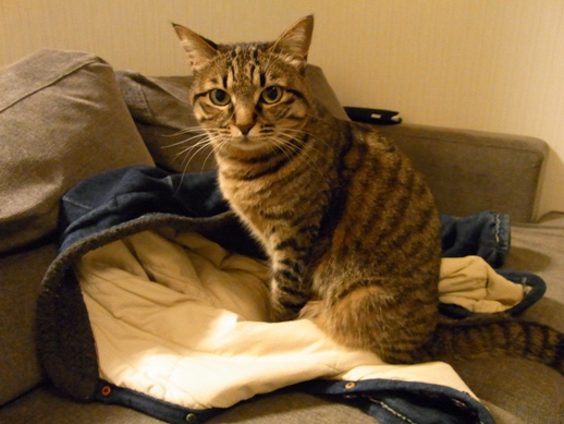 f:id:akiyochan15:20120401190535j:image