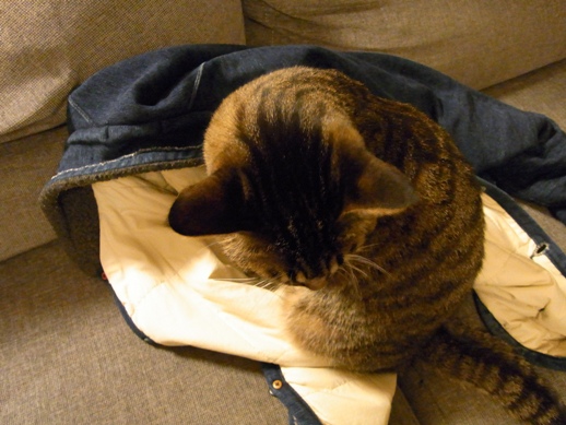 f:id:akiyochan15:20120401190554j:image