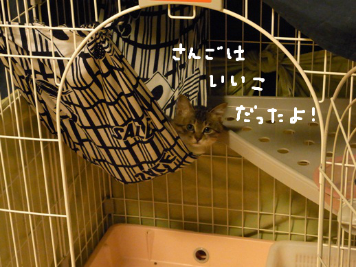 f:id:akiyochan15:20120401214320j:image