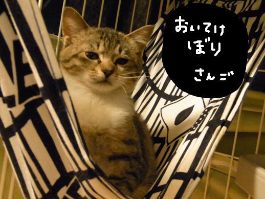 f:id:akiyochan15:20120401215510j:image