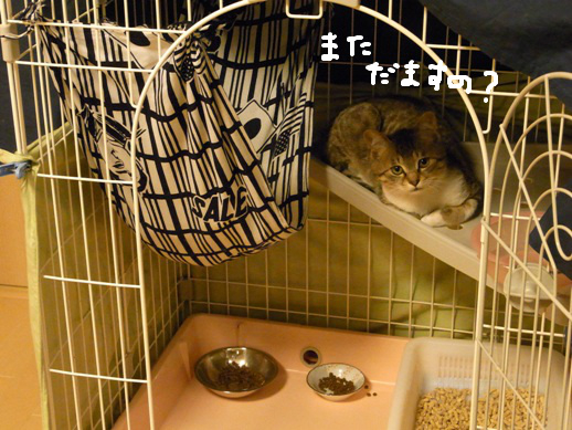 f:id:akiyochan15:20120401215812j:image