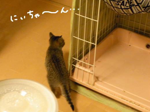 f:id:akiyochan15:20120401220959j:image