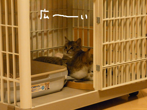 f:id:akiyochan15:20120401222246j:image