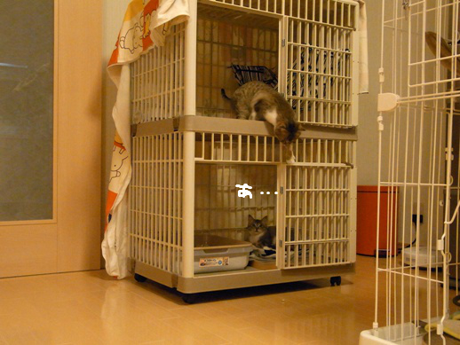 f:id:akiyochan15:20120402200546j:image f:id:akiyochan15:20120402200546j:image