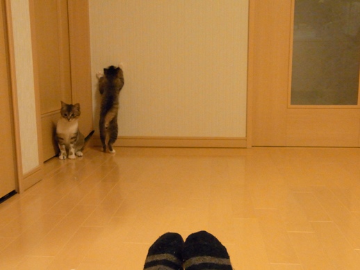 f:id:akiyochan15:20120402200923j:image f:id:akiyochan15:20120402200923j:image