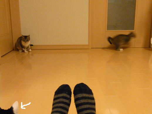 f:id:akiyochan15:20120403160041j:image f:id:akiyochan15:20120403160041j:image
