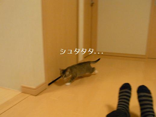 f:id:akiyochan15:20120403164536j:image f:id:akiyochan15:20120403164536j:image