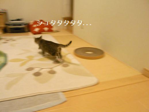 f:id:akiyochan15:20120403164537j:image f:id:akiyochan15:20120403164537j:image