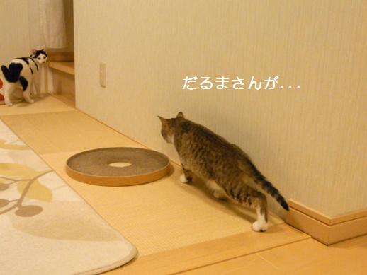 f:id:akiyochan15:20120403165311j:image f:id:akiyochan15:20120403165311j:image