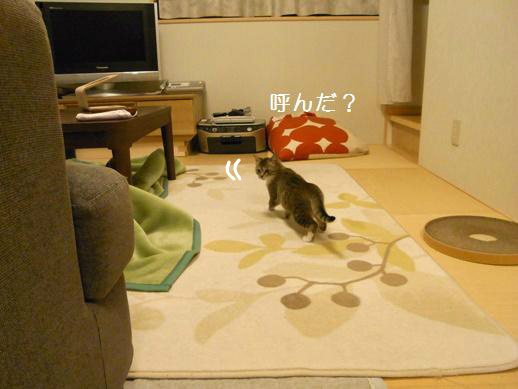 f:id:akiyochan15:20120403200911j:image f:id:akiyochan15:20120403200911j:image