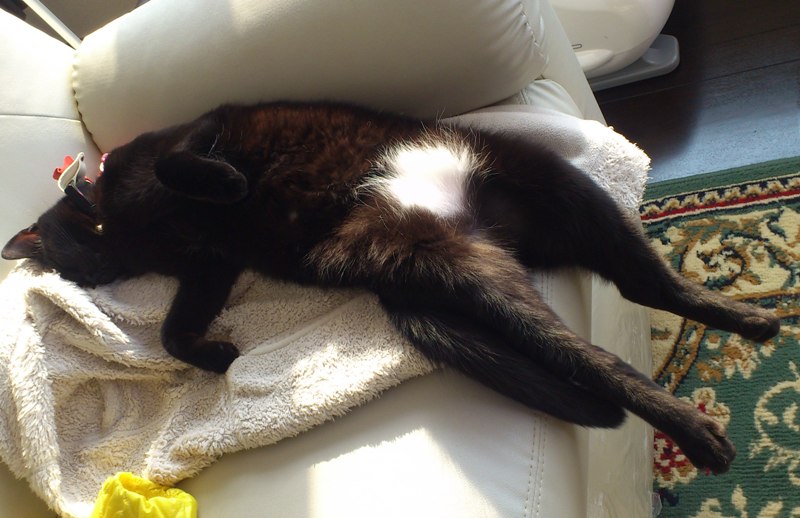 f:id:akiyochan15:20120408155545j:image:w518 f:id:akiyochan15:20120408155545j:image:w518