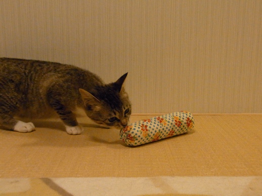 f:id:akiyochan15:20120411211309j:image