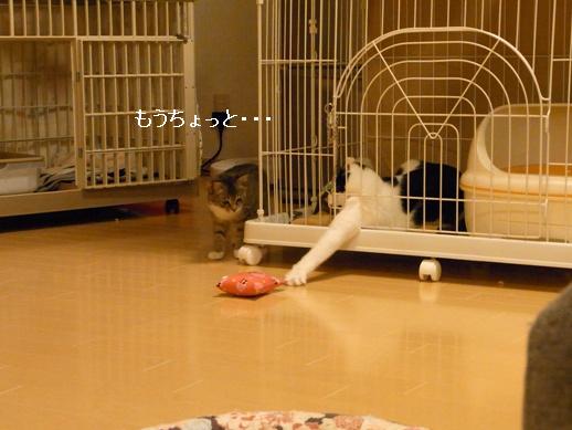 f:id:akiyochan15:20120411212028j:image