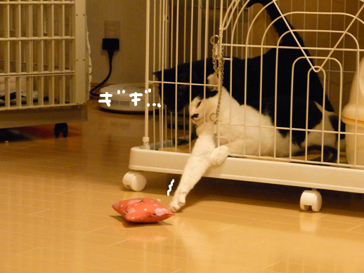 f:id:akiyochan15:20120411213007j:image