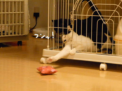 f:id:akiyochan15:20120411213148j:image