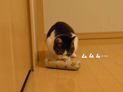 f:id:akiyochan15:20120411213644j:image