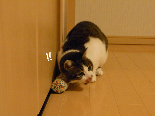 f:id:akiyochan15:20120411213732j:image