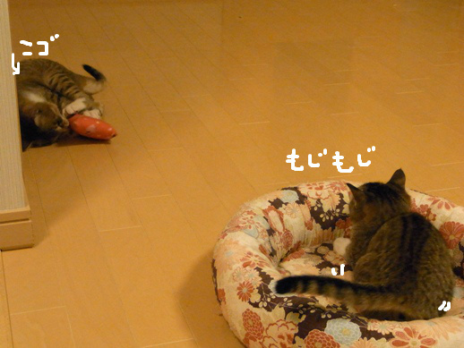 f:id:akiyochan15:20120412024026j:image