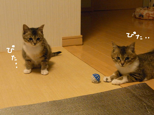 f:id:akiyochan15:20120416231111j:image