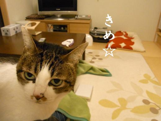 f:id:akiyochan15:20120416232030j:image