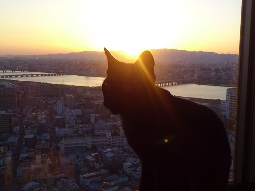 f:id:akiyochan15:20120427182640j:image f:id:akiyochan15:20120427182640j:image