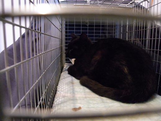 f:id:akiyochan15:20120429191026j:image