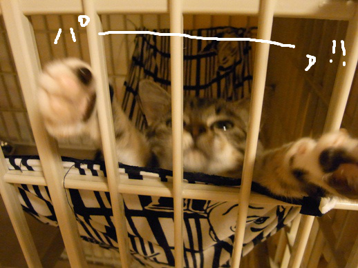 f:id:akiyochan15:20120430003517j:image