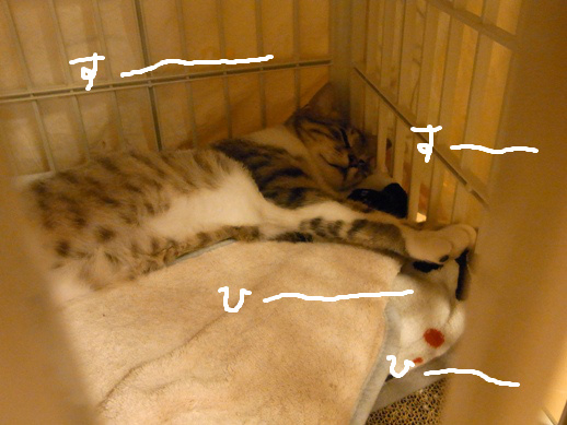 f:id:akiyochan15:20120430003938j:image