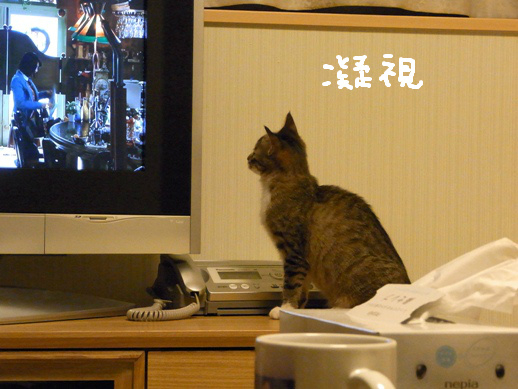 f:id:akiyochan15:20120504001418j:image