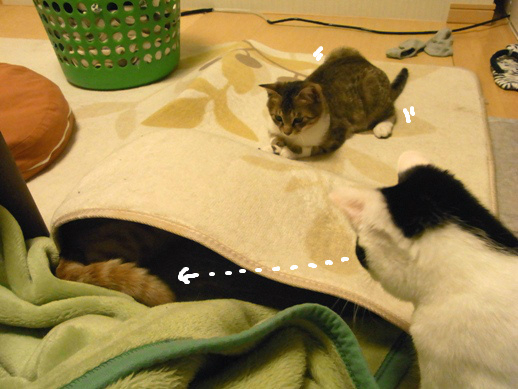 f:id:akiyochan15:20120504010110j:image