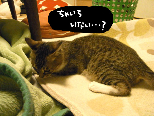 f:id:akiyochan15:20120504011112j:image