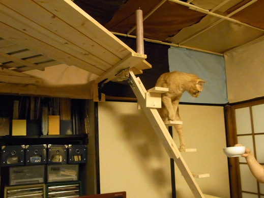 f:id:akiyochan15:20120508181811j:image