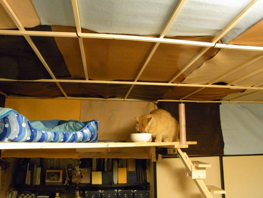 f:id:akiyochan15:20120508181823j:image