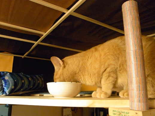 f:id:akiyochan15:20120508181838j:image