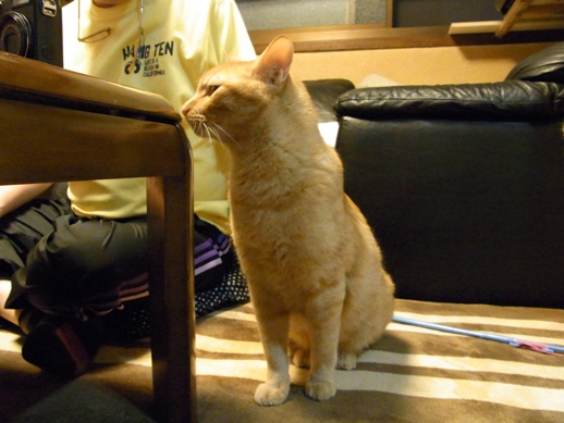 f:id:akiyochan15:20120508184415j:image