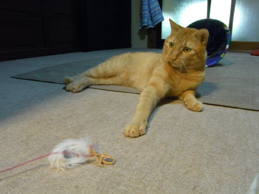 f:id:akiyochan15:20120508185106j:image