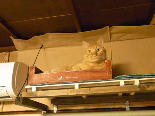 f:id:akiyochan15:20120508204855j:image