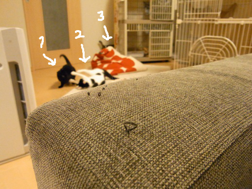 f:id:akiyochan15:20120511211230j:image